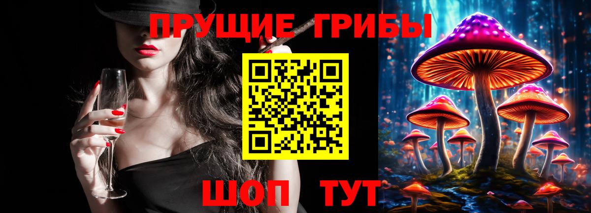 купить наркотики цена  Вход с VPN  Гудермес  Галлюциногенные грибы Psilocybine cubensis 